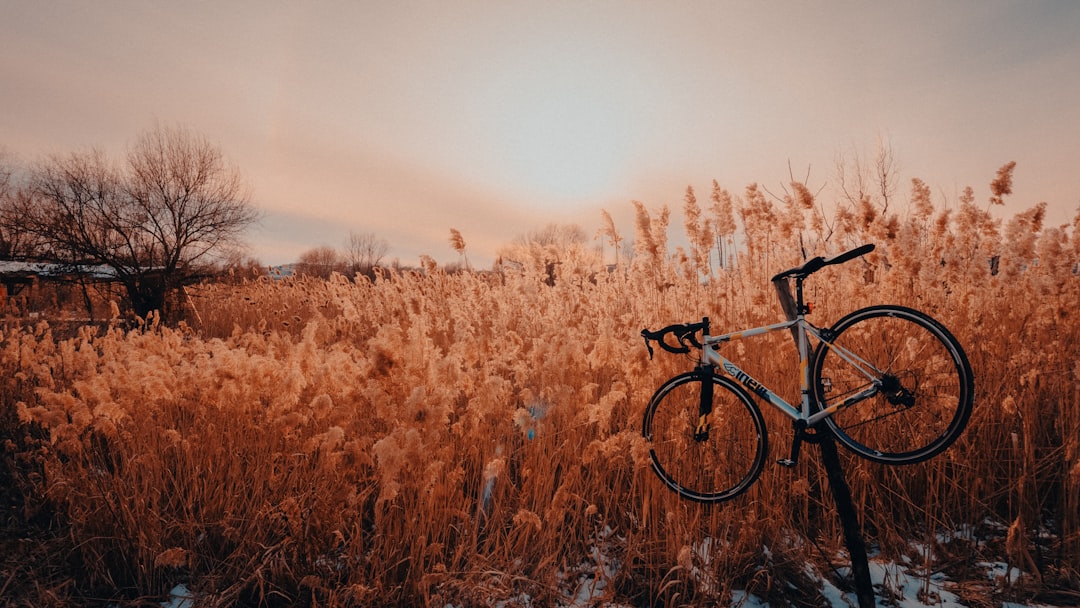 Photo bicycle history Romania