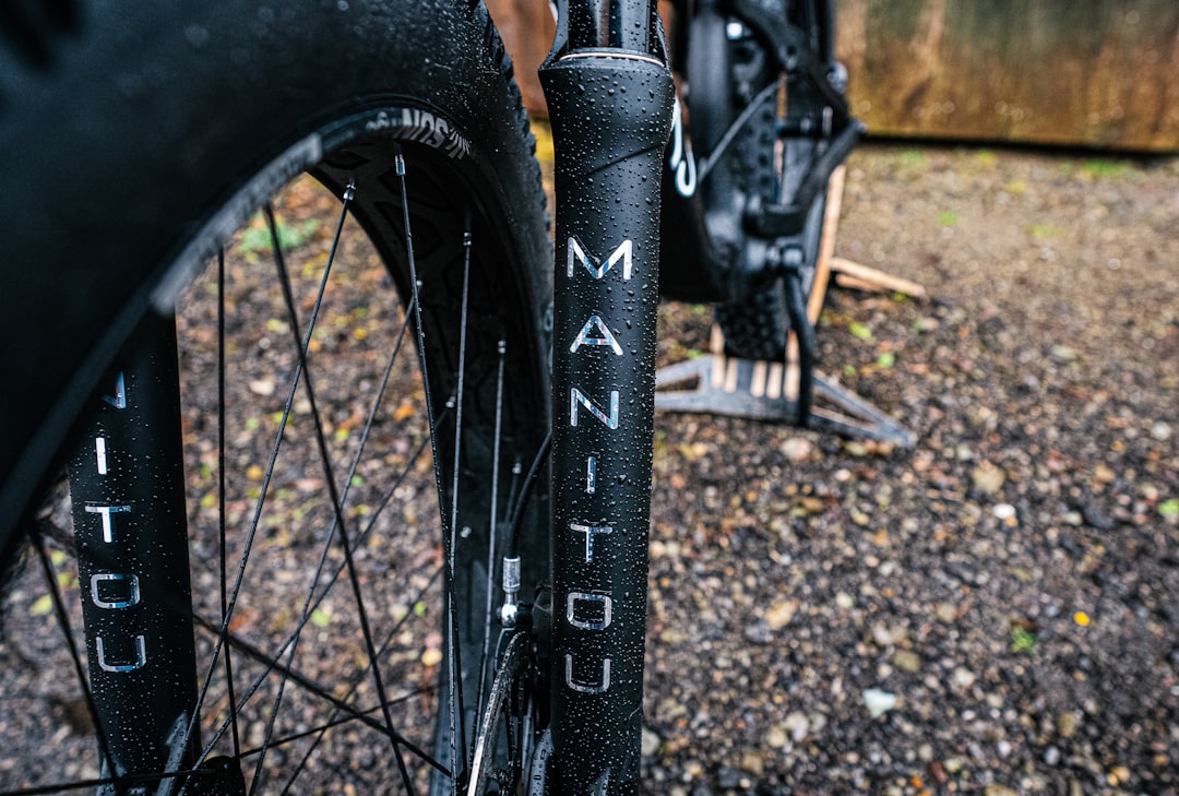 Photo mounting bike protection wings