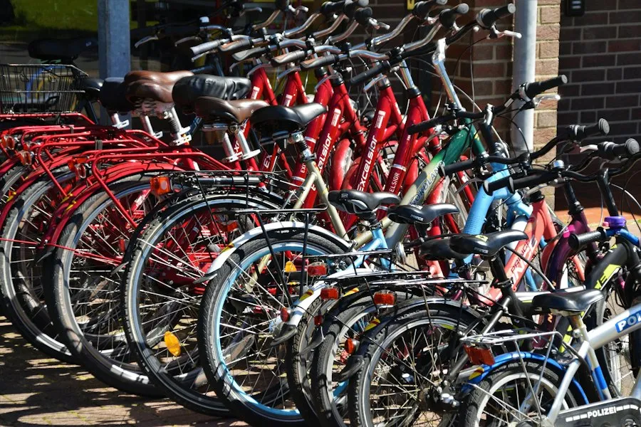 choosing a bicycle guide