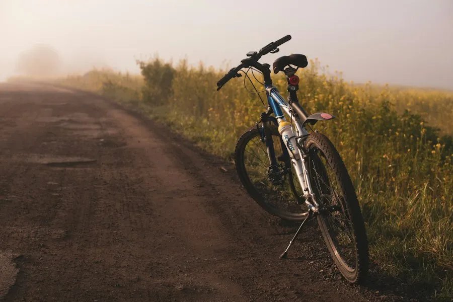 bicycle safety tips