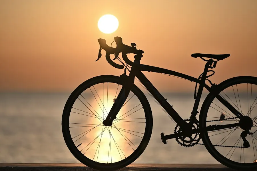 Photo bicycle maintenance tips