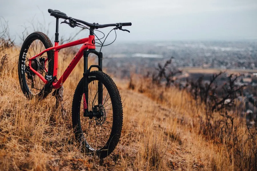 Photo bicycle buying guide research-based recommendations